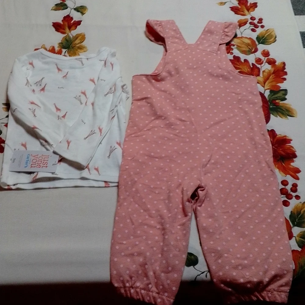 NWT Carter's two piece overalls and shirt set